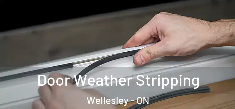 Door Weather Stripping Wellesley - ON