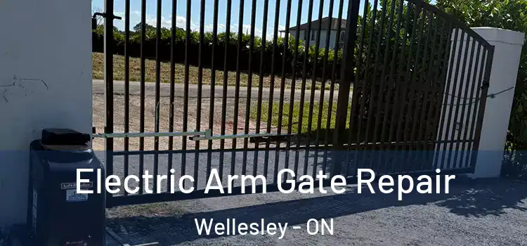 Electric Arm Gate Repair Wellesley - ON