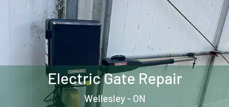 Electric Gate Repair Wellesley - ON