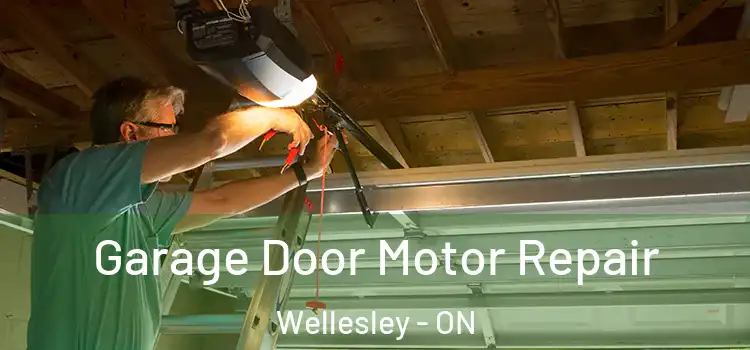  Garage Door Motor Repair Wellesley - ON