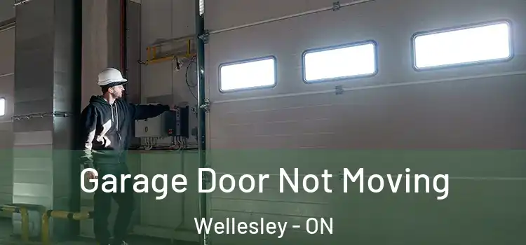  Garage Door Not Moving Wellesley - ON