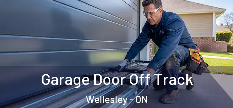  Garage Door Off Track Wellesley - ON