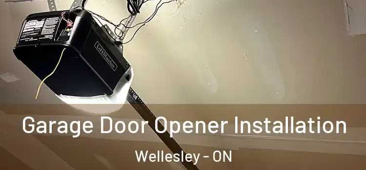  Garage Door Opener Installation Wellesley - ON