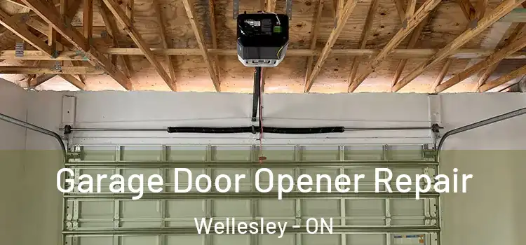  Garage Door Opener Repair Wellesley - ON