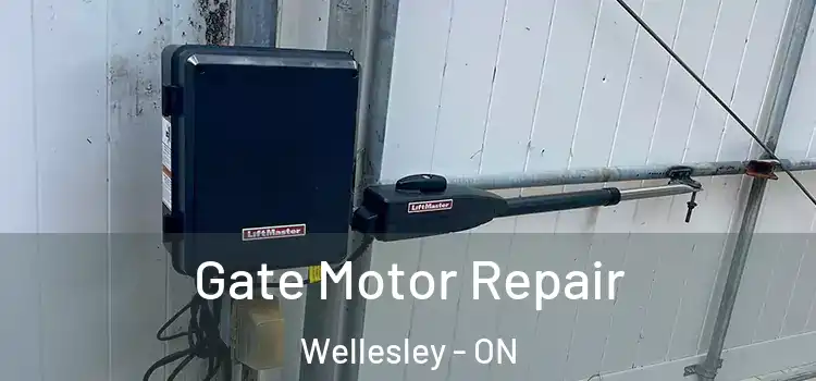 Gate Motor Repair Wellesley - ON