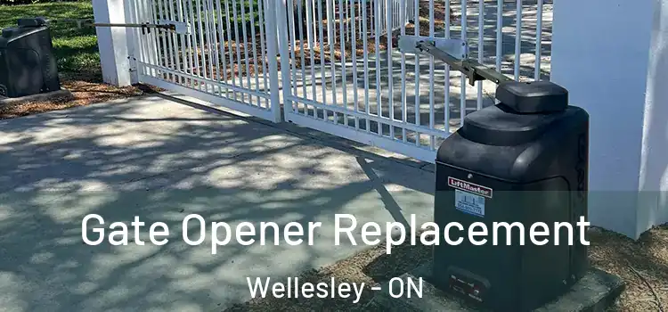 Gate Opener Replacement Wellesley - ON