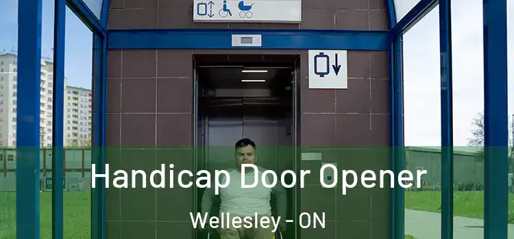 Handicap Door Opener Wellesley - ON