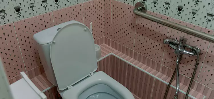 Meeting Diverse Needs With Accessible Restroom Solutions in Wellesley, ON