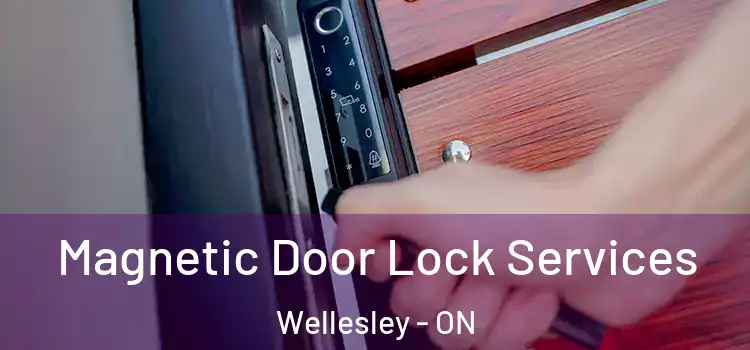  Magnetic Door Lock Services Wellesley - ON