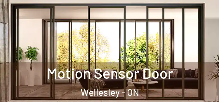  Motion Sensor Door Wellesley - ON