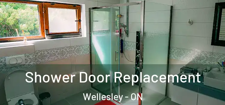 Shower Door Replacement Wellesley - ON