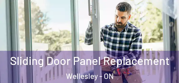  Sliding Door Panel Replacement Wellesley - ON