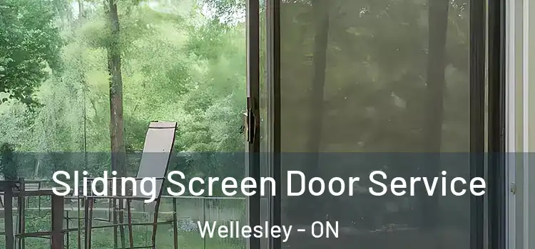 Sliding Screen Door Service Wellesley - ON